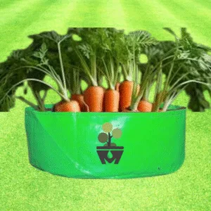 Grow Bags for Carrot